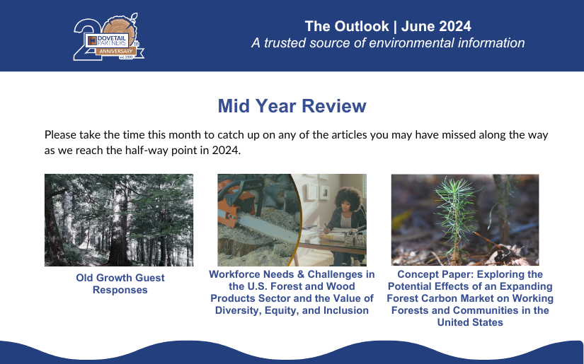 The Outlook | June 2024